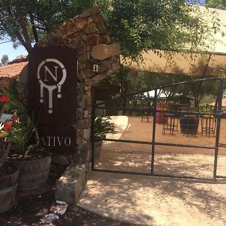 Guest House Nativo - Charming, Cozy & Affordable Valle de Guadalupe Buitenkant foto