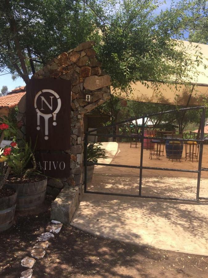 Guest House Nativo - Charming, Cozy & Affordable Valle de Guadalupe Buitenkant foto